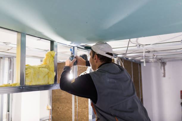 Best Energy Efficiency Insulation in Naples, UT