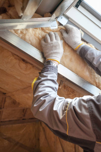 Best Cellulose Insulation in Naples, UT